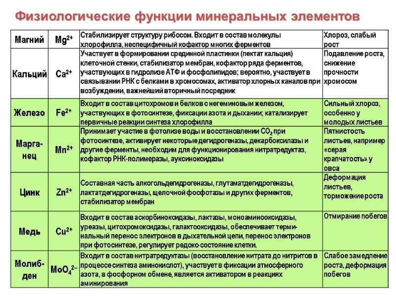 Физиологические функции минеральных элементов